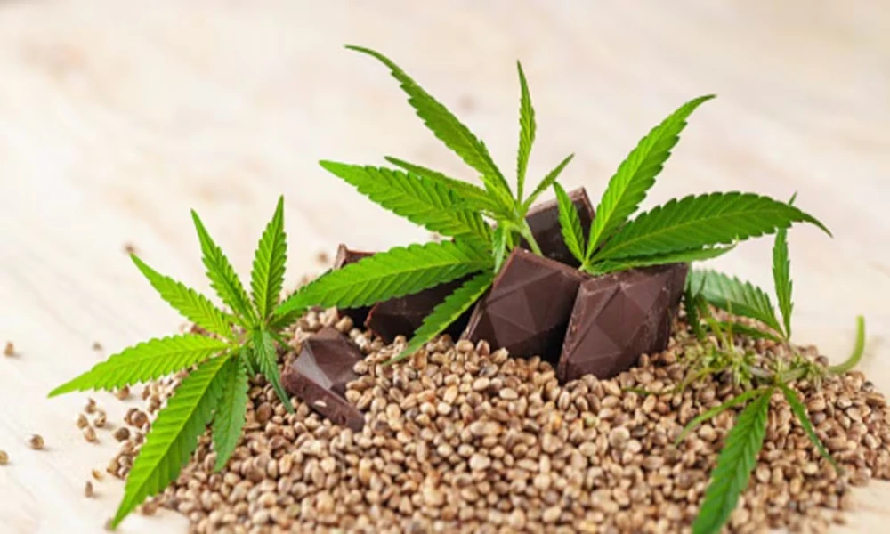 Knowing Reliable Sources Makes Hemp Buying Easier For New Buyers Everywhere